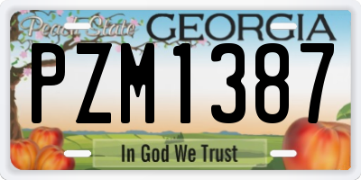GA license plate PZM1387