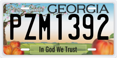 GA license plate PZM1392