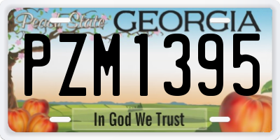 GA license plate PZM1395