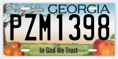 GA license plate PZM1398
