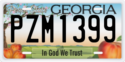 GA license plate PZM1399