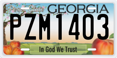 GA license plate PZM1403