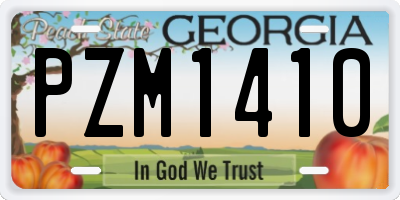 GA license plate PZM1410