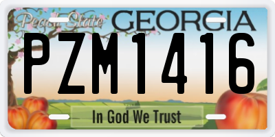 GA license plate PZM1416