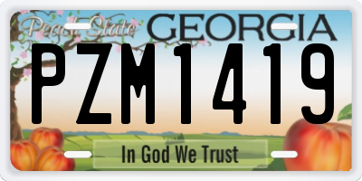 GA license plate PZM1419