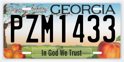 GA license plate PZM1433