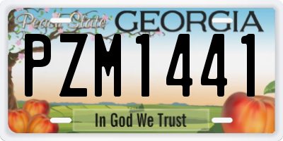 GA license plate PZM1441
