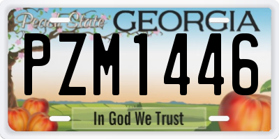 GA license plate PZM1446