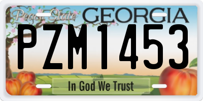 GA license plate PZM1453