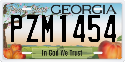 GA license plate PZM1454