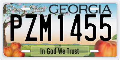 GA license plate PZM1455
