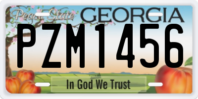 GA license plate PZM1456