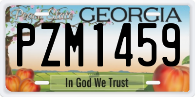 GA license plate PZM1459