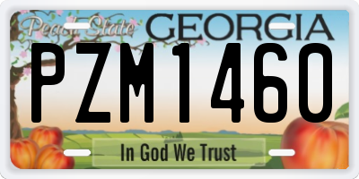 GA license plate PZM1460