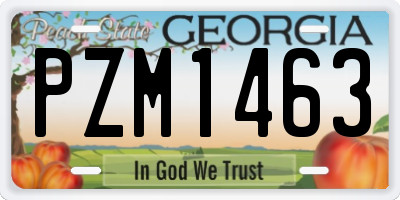 GA license plate PZM1463