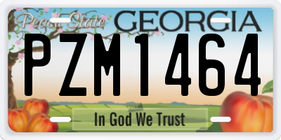GA license plate PZM1464
