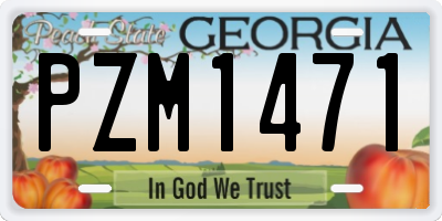 GA license plate PZM1471