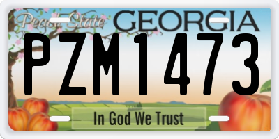 GA license plate PZM1473