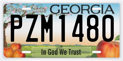 GA license plate PZM1480