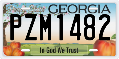 GA license plate PZM1482