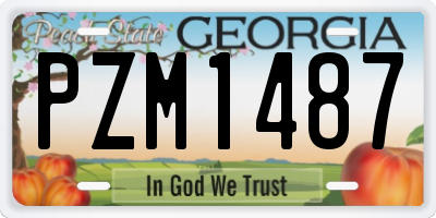 GA license plate PZM1487