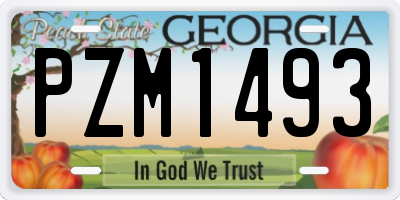 GA license plate PZM1493
