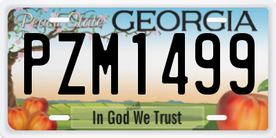 GA license plate PZM1499