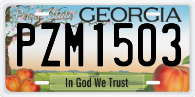 GA license plate PZM1503