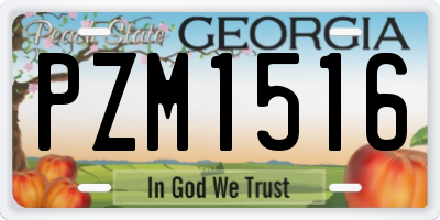 GA license plate PZM1516