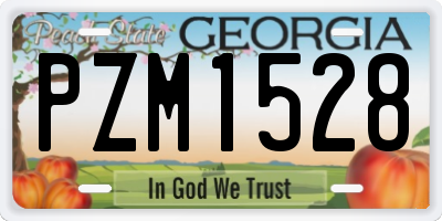 GA license plate PZM1528