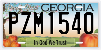 GA license plate PZM1540
