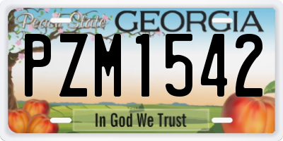 GA license plate PZM1542