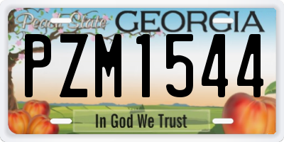 GA license plate PZM1544