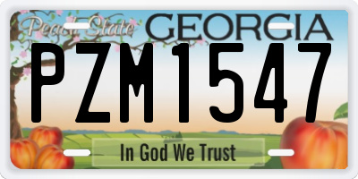 GA license plate PZM1547