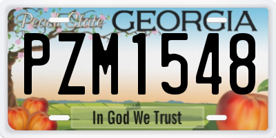 GA license plate PZM1548