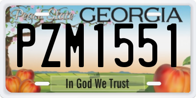 GA license plate PZM1551