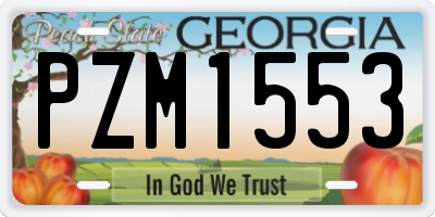 GA license plate PZM1553