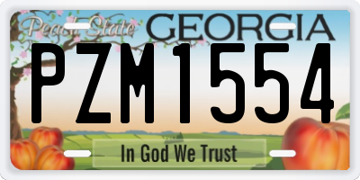 GA license plate PZM1554