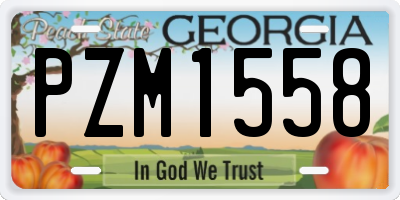GA license plate PZM1558
