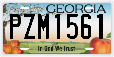 GA license plate PZM1561