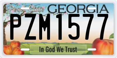 GA license plate PZM1577
