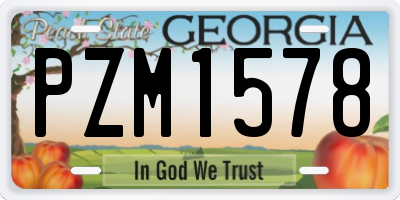 GA license plate PZM1578