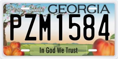 GA license plate PZM1584