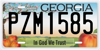GA license plate PZM1585