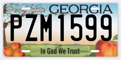 GA license plate PZM1599