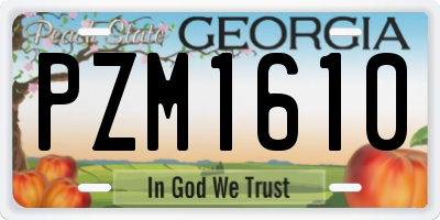 GA license plate PZM1610