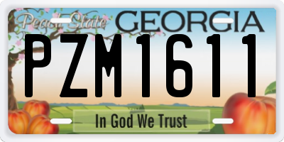GA license plate PZM1611