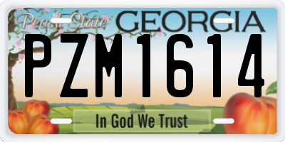GA license plate PZM1614