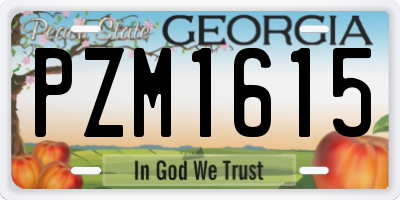 GA license plate PZM1615