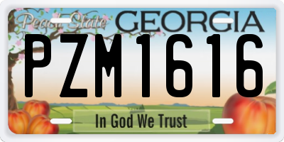 GA license plate PZM1616